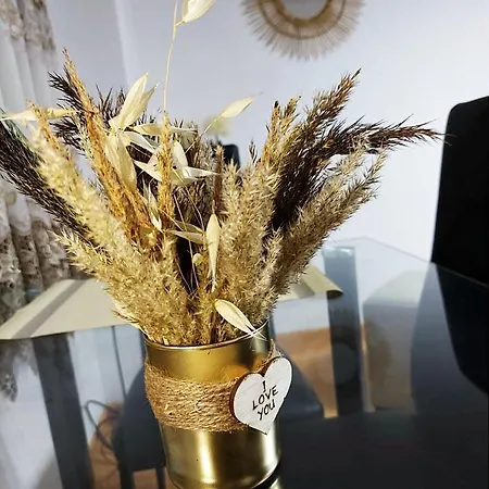 Cafi تيرانا